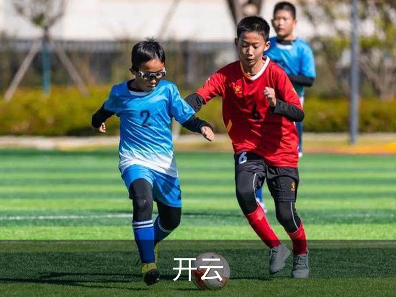 开云简介