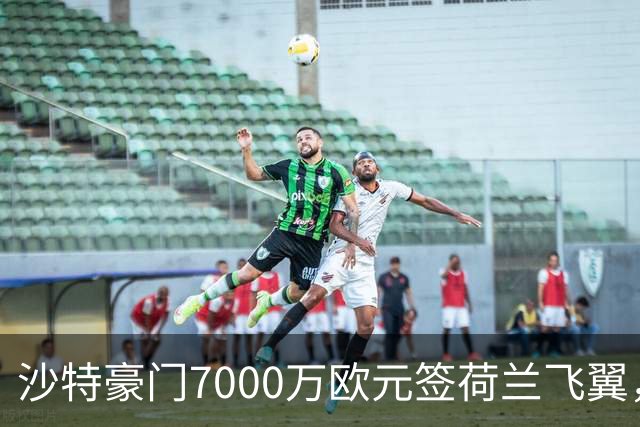 沙特豪门7000万欧元签荷兰飞翼，4年合同挣6800万